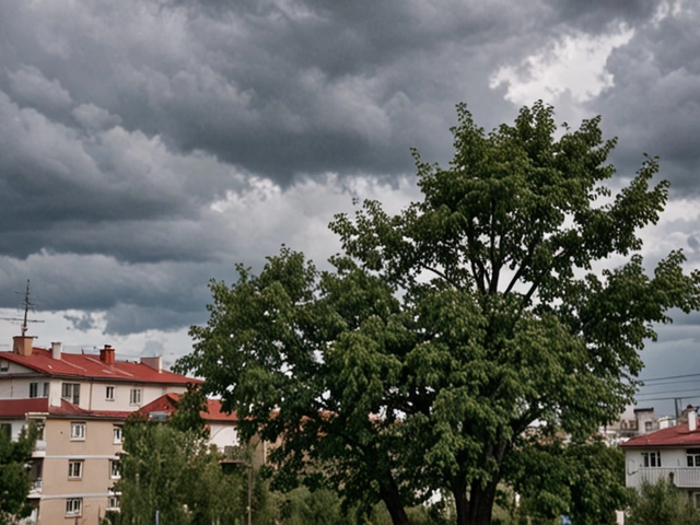 Сильный штормовой ветер обрушился на Бийск: последствия и прогнозы